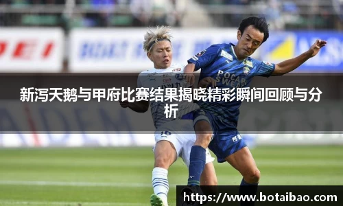 新泻天鹅与甲府比赛结果揭晓精彩瞬间回顾与分析